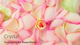  Presentation with mothers day floral - PPT layouts with delicate-flower-petals-floral-background background and a lemonade colored foreground