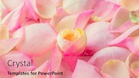  Presentation with mothers day floral - PPT theme enhanced with delicate-flower-petals-floral-background background and a coral colored foreground