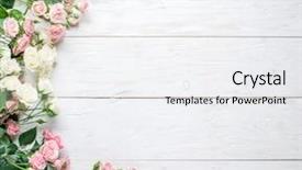  Presentation with pink and white roses - Slide deck with delicate fresh roses background and a white colored foreground