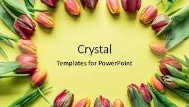  Presentation with top view of appetizing fresh - PPT theme consisting of delicate fresh tulips on yellow background and a blonde colored foreground