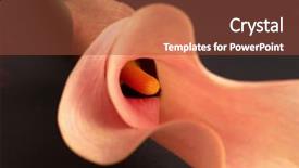  Presentation with calla lily - Presentation theme having delicate orange calla lily background and a red colored foreground