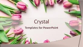  Presentation with pink gold glitter wedding anniversary - Audience pleasing presentation theme consisting of delicate pink tulips on lightpink backdrop and a  colored foreground