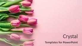  Presentation with pink gold glitter wedding anniversary - Cool new presentation with delicate pink tulips on lightpink backdrop and a  colored foreground