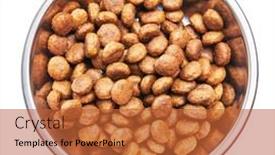  Presentation with dog food - Slide set featuring delicious-bowl-of-dog-food background and a  colored foreground