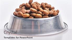  Presentation with dog food - Slide set with delicious-bowl-of-dog-food background and a light gray colored foreground