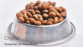  Presentation with dog food - Slide set with delicious-bowl-of-dog-food background and a light gray colored foreground