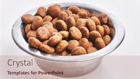  Presentation with dog food - Presentation design with delicious-bowl-of-dog-food background and a coral colored foreground