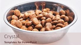  Presentation with dog food - 