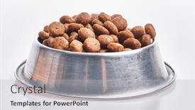  Presentation with dog food - Theme enhanced with delicious-bowl-of-dog-food background and a light gray colored foreground