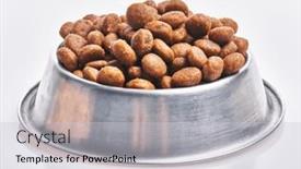  Presentation with dog food - 