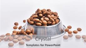  Presentation with dog food - 