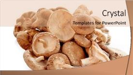  Presentation with mushrooms - Amazing slides having delicious edible shiitake mushrooms common backdrop and a coral colored foreground