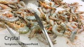  Presentation with ice - PPT layouts with delicious fresh crawfish on ice background and a  colored foreground