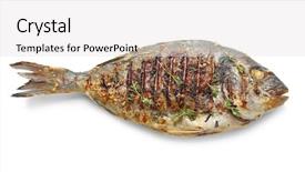  Presentation with fish - PPT theme enhanced with delicious fried fish on white background and a light gray colored foreground