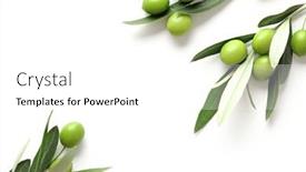  Presentation with olive green - Audience pleasing slide deck consisting of delicious-green-olive-fruits backdrop and a white colored foreground