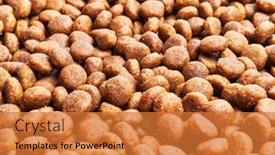  Presentation with dog food - 