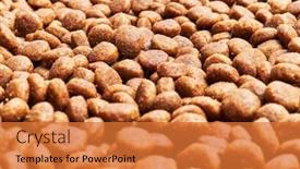  Presentation with dog food - Slide set consisting of delicious-group-of-dog-food background and a red colored foreground