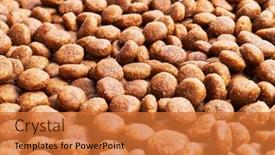  Presentation with dog food - 