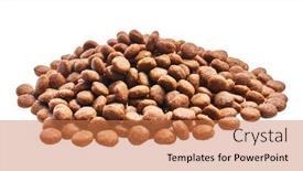  Presentation with dog food - Presentation design consisting of delicious-group-of-dog-food background and a coral colored foreground