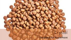  Presentation with dog food - Slide deck enhanced with delicious-group-of-dog-food background and a gold colored foreground