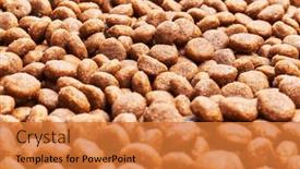  Presentation with dog food - Slide set featuring delicious-group-of-dog-food background and a gold colored foreground