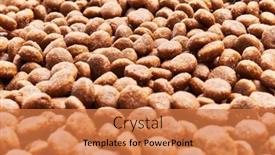  Presentation with dog food - Presentation design consisting of delicious-group-of-dog-food background and a coral colored foreground