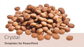  Presentation with dog food - PPT theme featuring delicious-group-of-dog-food background and a coral colored foreground