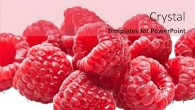  Presentation with group - Presentation theme enhanced with delicious-group-of-raspberries-over background and a coral colored foreground