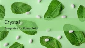  Presentation with mint - Beautiful presentation featuring delicious hard candies and mint backdrop and a seafoam green colored foreground