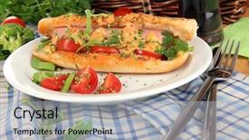  Presentation with dog adolescents - PPT theme featuring delicious hot dog on plate background and a light gray colored foreground