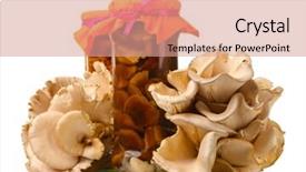  Presentation with oyster - PPT theme having delicious marinated mushrooms in the glass jars raw oyster mushrooms isolated on white background and a coral colored foreground