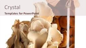  Presentation with mushrooms - Amazing slide deck having oyster mushrooms isolated on white backdrop and a lemonade colored foreground