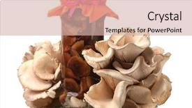  Presentation with oyster - Colorful slide set enhanced with delicious marinated mushrooms in the glass jars raw oyster mushrooms isolated on white backdrop and a soft green colored foreground