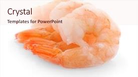  Presentation with prawn - Cool new PPT theme with delicious shrimps on white background backdrop and a lemonade colored foreground