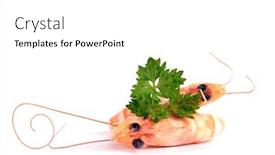  Presentation with shrimps - 