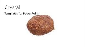  Presentation with dog food - 