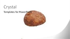  Presentation with dog food - 