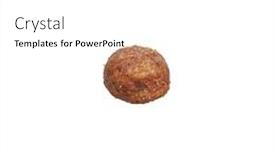  Presentation with dog food - 