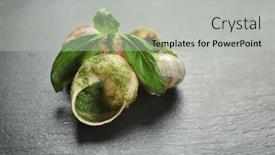 Presentation with dark green - Slides enhanced with delicious-snails-in-green-sauce background and a light gray colored foreground