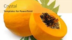  Presentation with papaya - Audience pleasing theme consisting of delicious-tropical-papaya-fruits backdrop and a yellow colored foreground