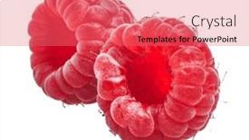  Presentation with isolated paw prints over white - Slides enhanced with delicious-two-raspberries-over-isolated background and a coral colored foreground