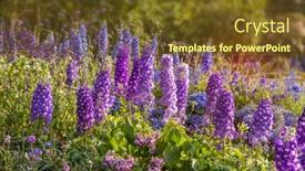  Presentation with blurred flowers - Slide deck enhanced with delphinium-flowers-blooming-on-blurred background and a tawny brown colored foreground