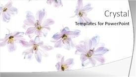 Presentation with white flowers - PPT theme with delphinium-flowers-on-the-white background and a white colored foreground