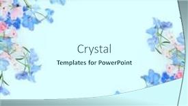  Presentation with wild flower - PPT layouts with delphinium-wild-flower-abstract-background background and a  colored foreground