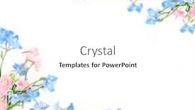  Presentation with herbal medicine flowers - Slide set featuring delphinium-wildflower-background-border background and a  colored foreground