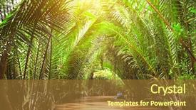  Presentation with mekong delta - PPT theme consisting of delta of mekong river vietnam background and a tawny brown colored foreground