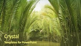  Presentation with mekong delta - PPT theme consisting of delta of mekong river vietnam background and a tawny brown colored foreground