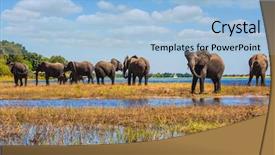  Presentation with african river - Audience pleasing presentation theme consisting of delta okavango chobe national park backdrop and a light blue colored foreground