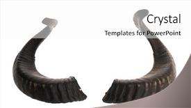  Presentation with demon - Beautiful theme featuring demon - pair of black ram horns backdrop and a white colored foreground