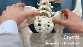  Presentation with pelvis - Theme featuring demonstration-of-osteopathic-techniques background and a gray colored foreground